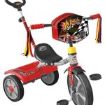 triciclo distroller