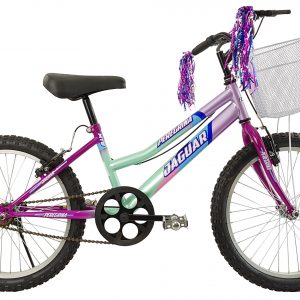 Bicicleta Jaguar Peregrina Con Canasta Rodada 20 - Imagen 3