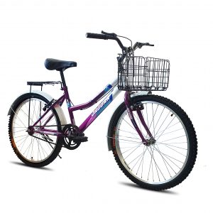 Bicicleta Montaña Jaguar Peregrina Rodada 26 Canasta Plegable Equipada - Imagen 9