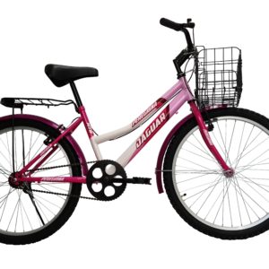 Bicicleta Montaña Jaguar Peregrina Rodada 26 Canasta Plegable Equipada - Imagen 4