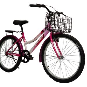 Bicicleta Montaña Jaguar Peregrina Rodada 26 Canasta Plegable Equipada - Imagen 5