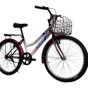 Bicicleta Montaña Jaguar Peregrina Rodada 26 Canasta Plegable Equipada - Imagen 11