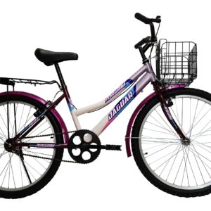 Bicicleta Montaña Jaguar Peregrina Rodada 24 Canasta Plegable Equipada
