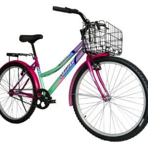 Bicicleta Montaña Jaguar Peregrina Rodada 26 Canasta Plegable Equipada - Imagen 15
