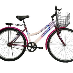 Bicicleta Montaña Jaguar Peregrina Rodada 26 Canasta Plegable Equipada - Imagen 10