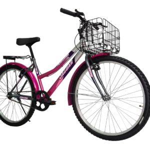 Bicicleta Montaña Jaguar Peregrina Rodada 26 Canasta Plegable Equipada - Imagen 16