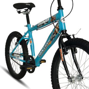 Bicicleta Black Panther Bravia Rodada 20 - Imagen 16